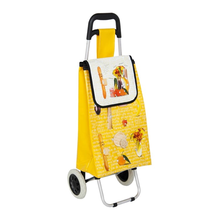 trolley dolly suitcase